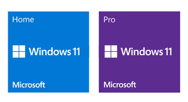 Windows 11 Professional Retail Version